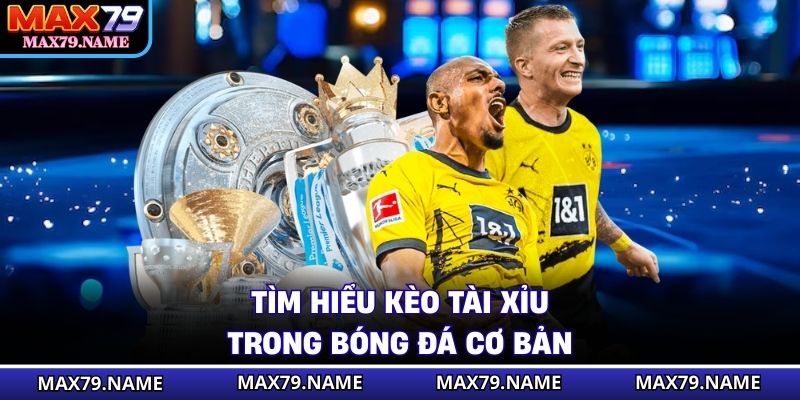 Tìm hiểu kèo tài xỉu trong bóng đá cơ bản