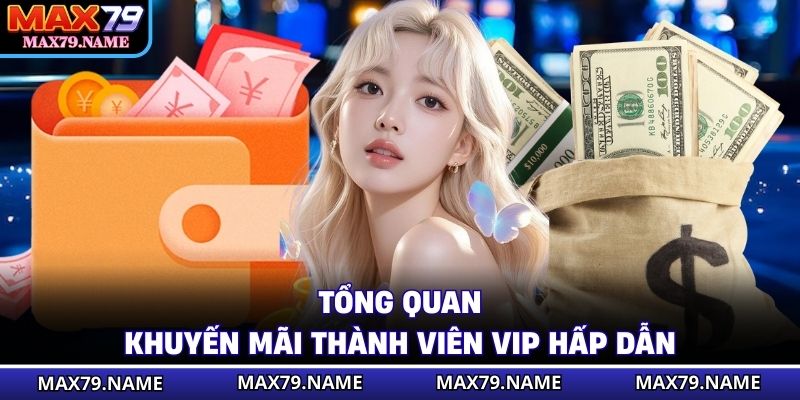 Tổng quan khuyến mãi thành viên VIP hấp dẫn