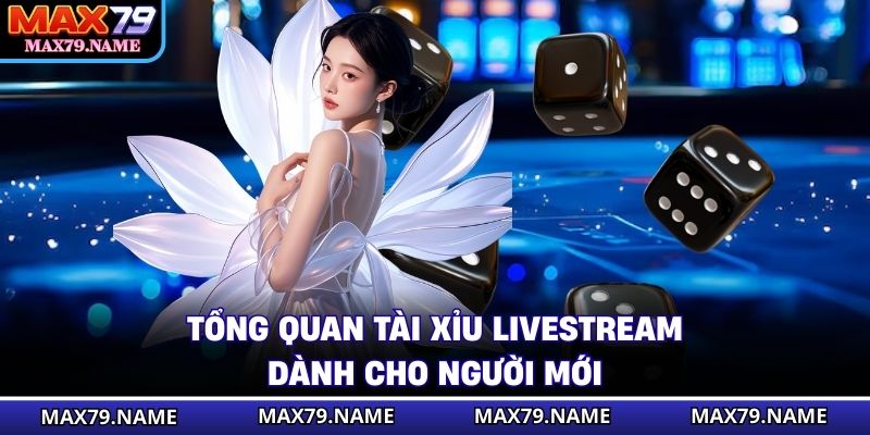 Tổng quan tài xỉu livestream dành cho người mới