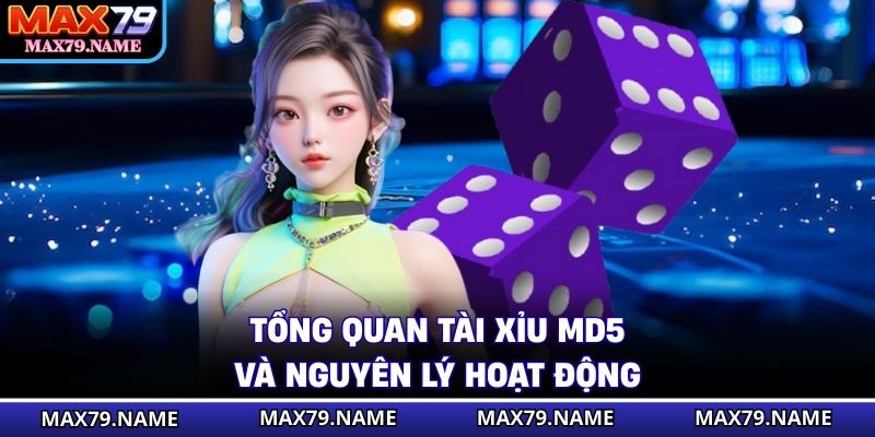 Tổng quan tài xỉu MD5 và nguyên lý hoạt động
